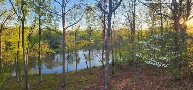 327 Kissimmee Trail, Cornelia, GA 30531