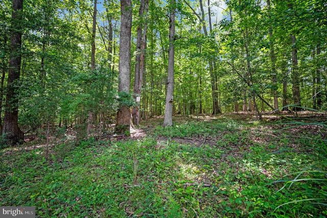 909 EASTOVER PKWY, Locust Grove, VA 22508