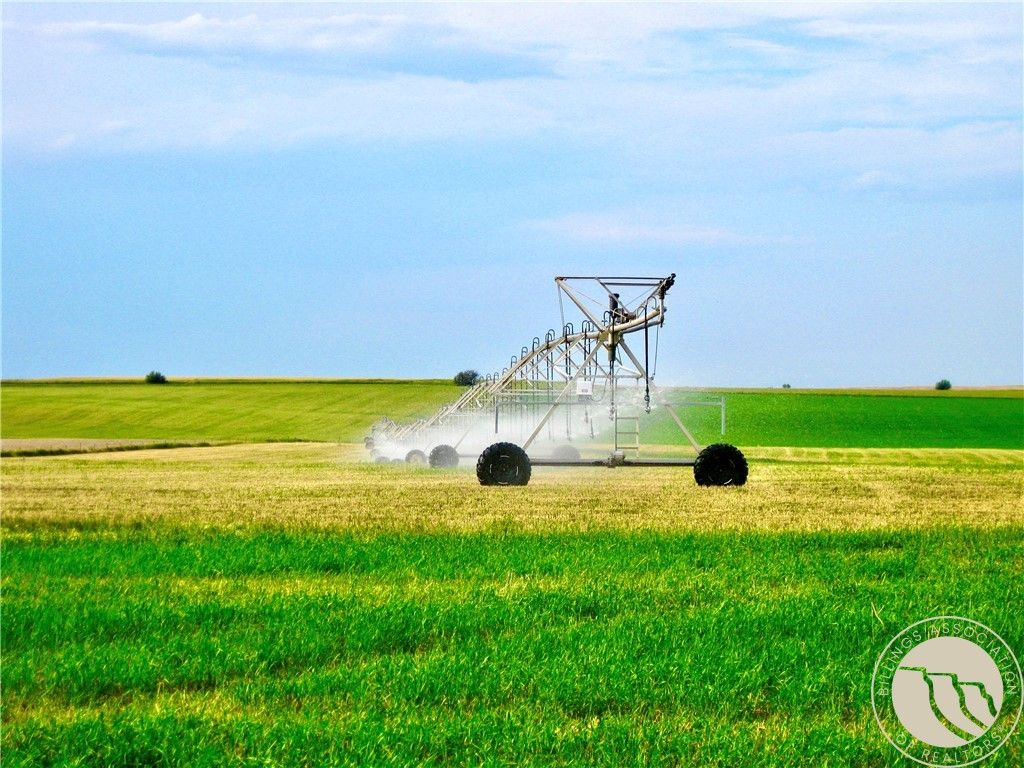 0 Buena Vista Road, Other, MT 59486 photo 15