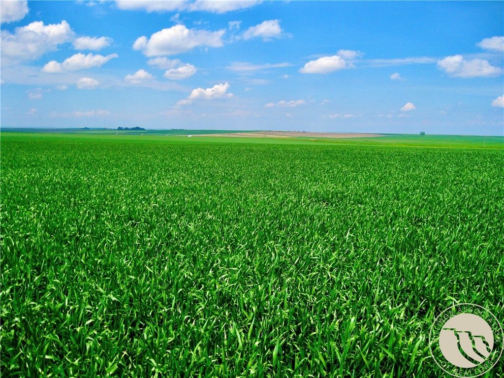 0 Buena Vista Road, Other, MT 59486 photo 17