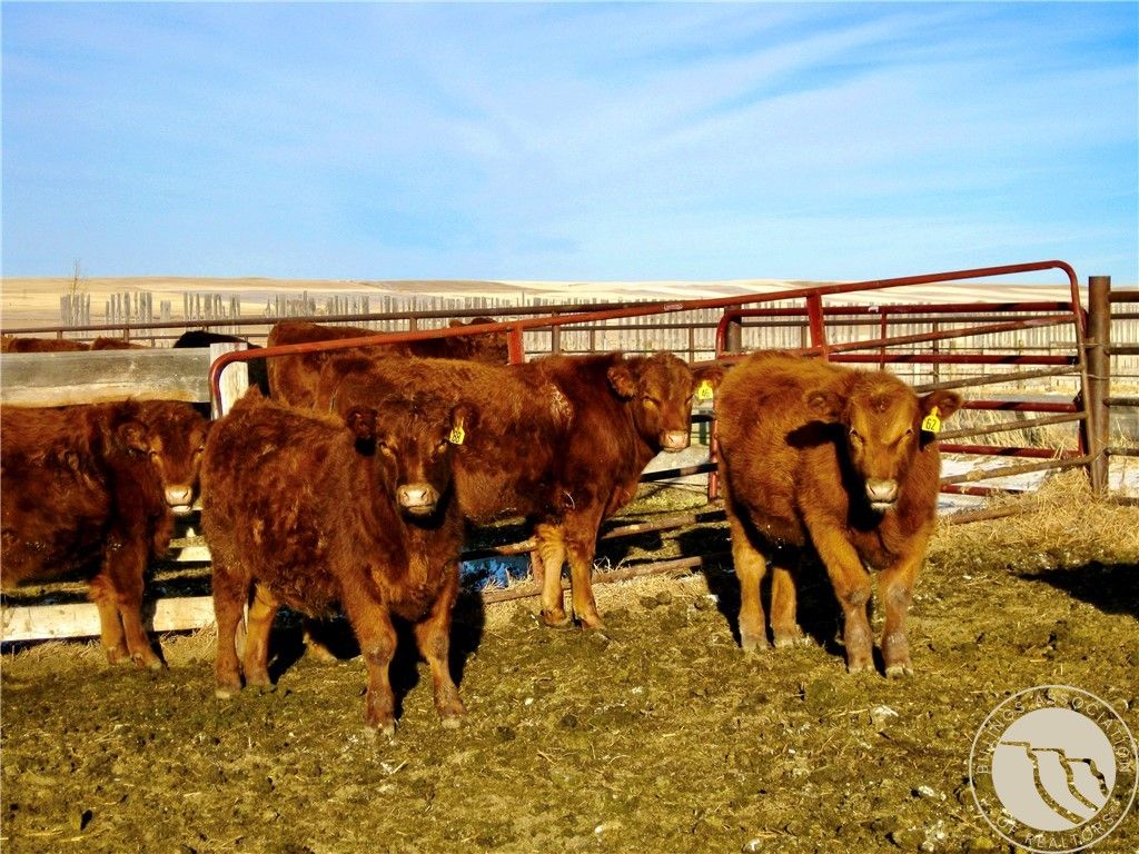 0 Buena Vista Road, Other, MT 59486 photo 18