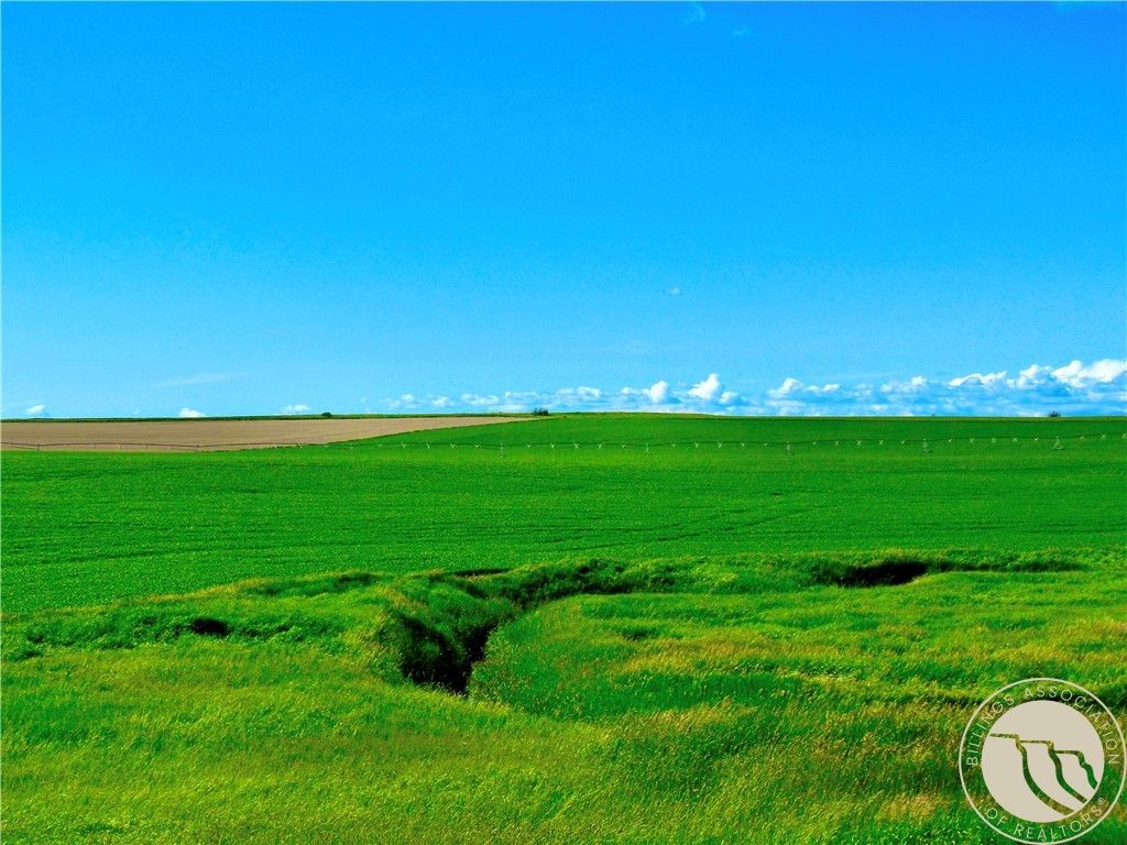 0 Buena Vista Road, Other, MT 59486 photo 23