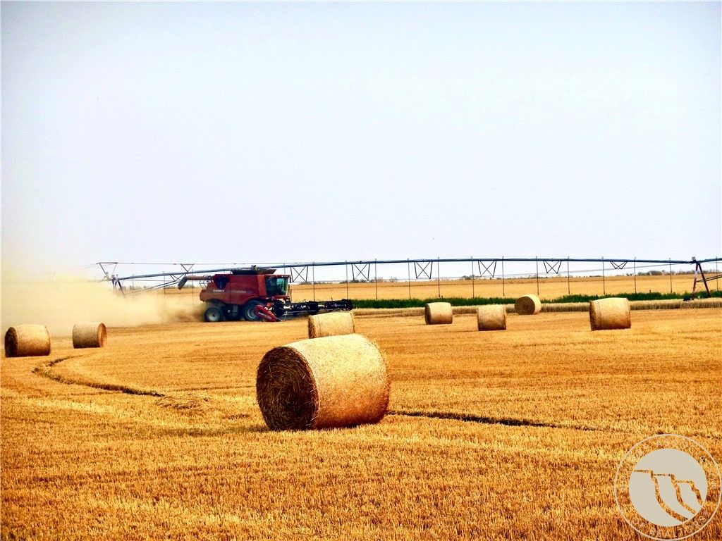 0 Buena Vista Road, Other, MT 59486 photo 28