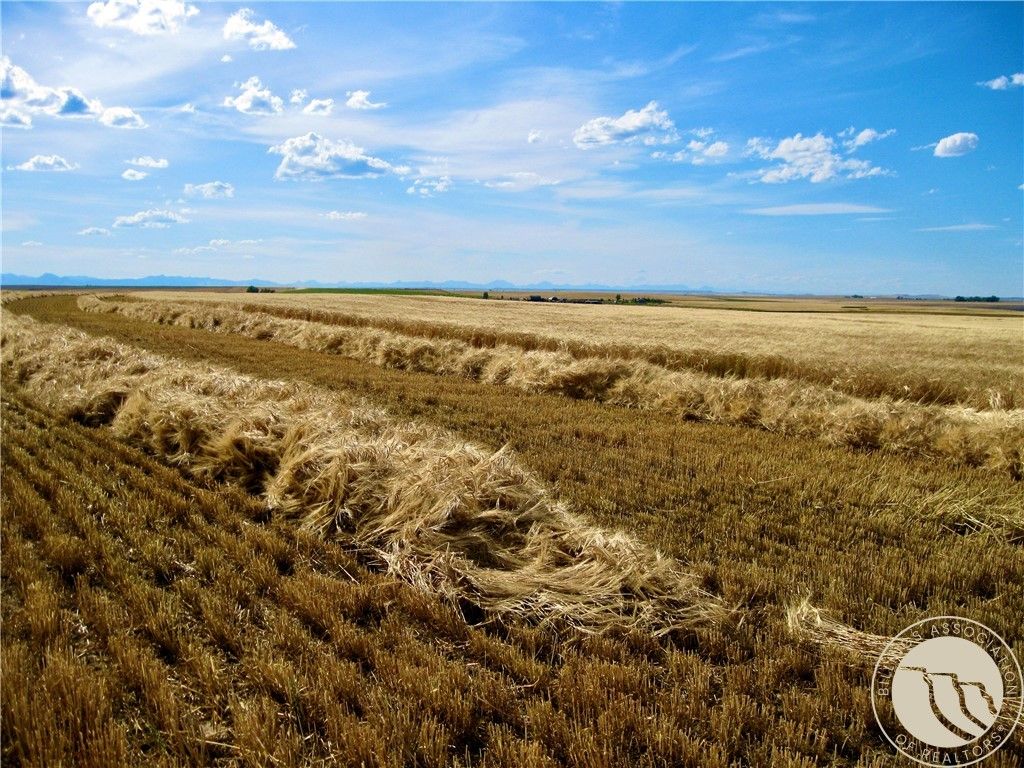 0 Buena Vista Road, Other, MT 59486 photo 29