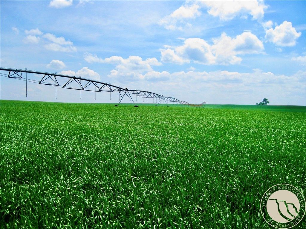 0 Buena Vista Road, Other, MT 59486 photo 3