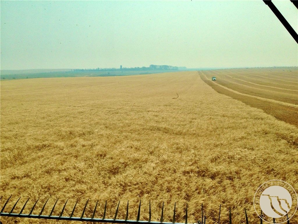 0 Buena Vista Road, Other, MT 59486 photo 30