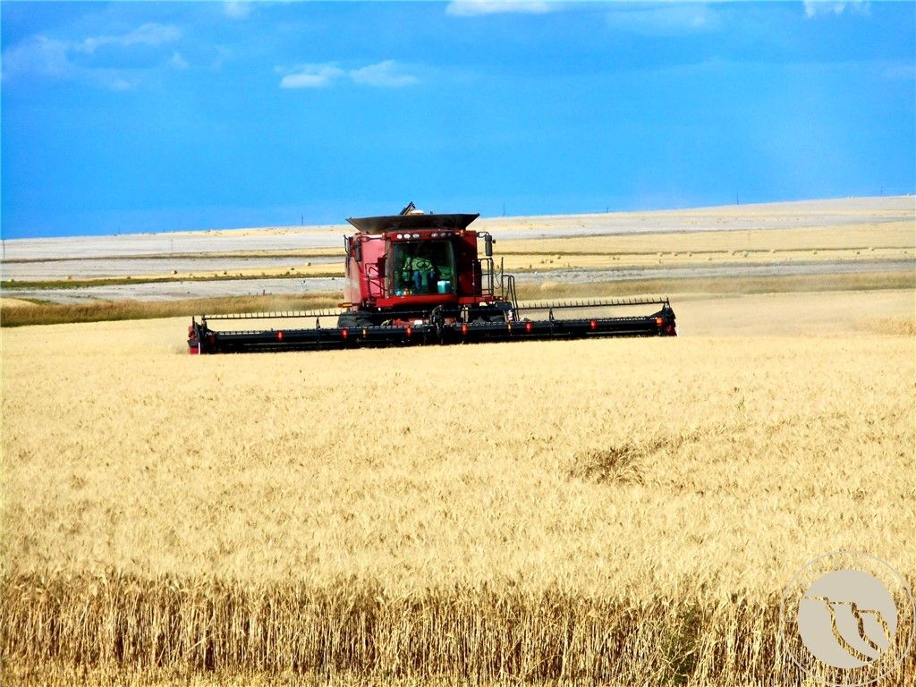 0 Buena Vista Road, Other, MT 59486 photo 32