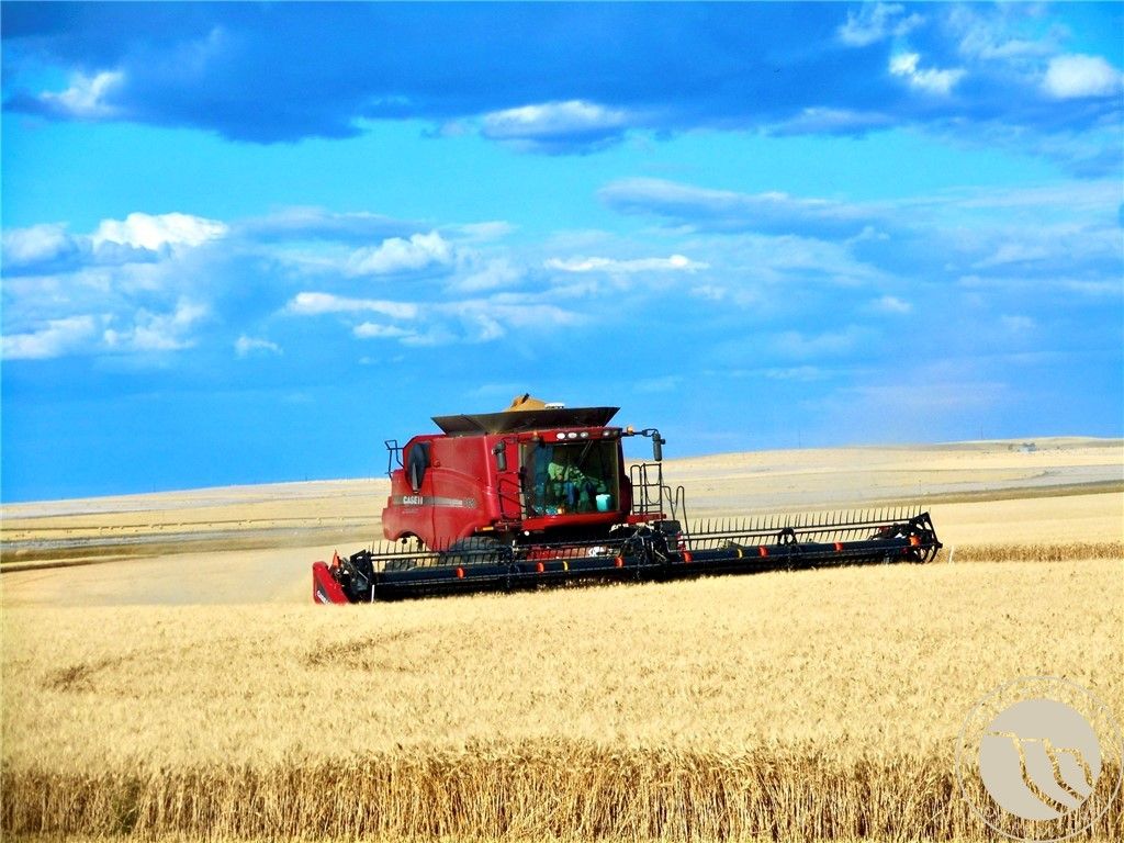 0 Buena Vista Road, Other, MT 59486 photo 33