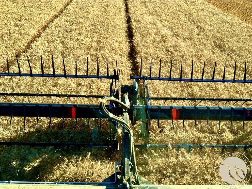 0 Buena Vista Road, Other, MT 59486 photo 4