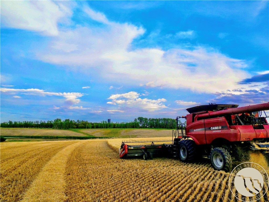 0 Buena Vista Road, Other, MT 59486 photo 6