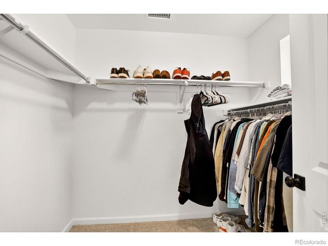 17396 Hop Clover Avenue, Parker, CO 80134