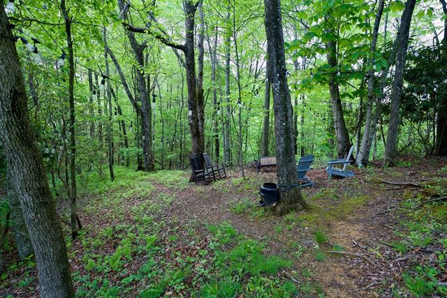 49 Richter Drive, Topton, NC 28781