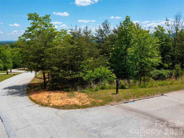 LOT 150 Birkdale Drive, Mill Spring, NC 28756