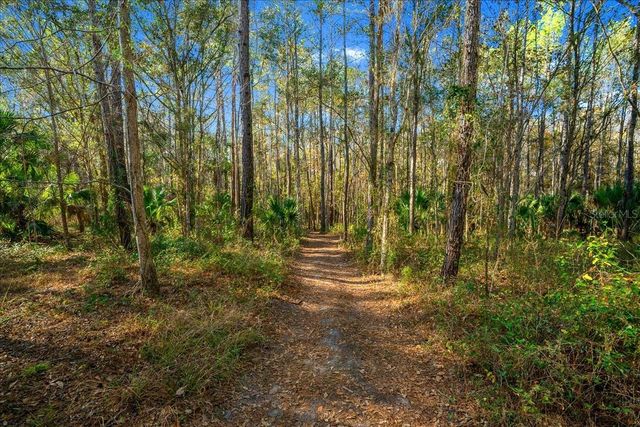 3097 NE 102ND AVENUE ROAD, Silver Springs, FL 34488