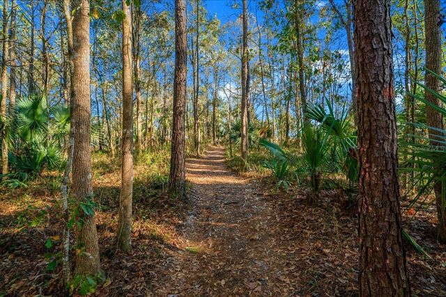 3097 NE 102ND AVENUE ROAD, Silver Springs, FL 34488