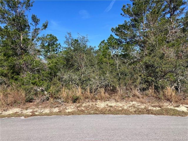 19 RUDBECKIA COURT, Homosassa, FL 34446