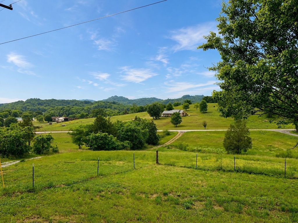 4455 Browning Branch Rd, Bethpage, TN 37022