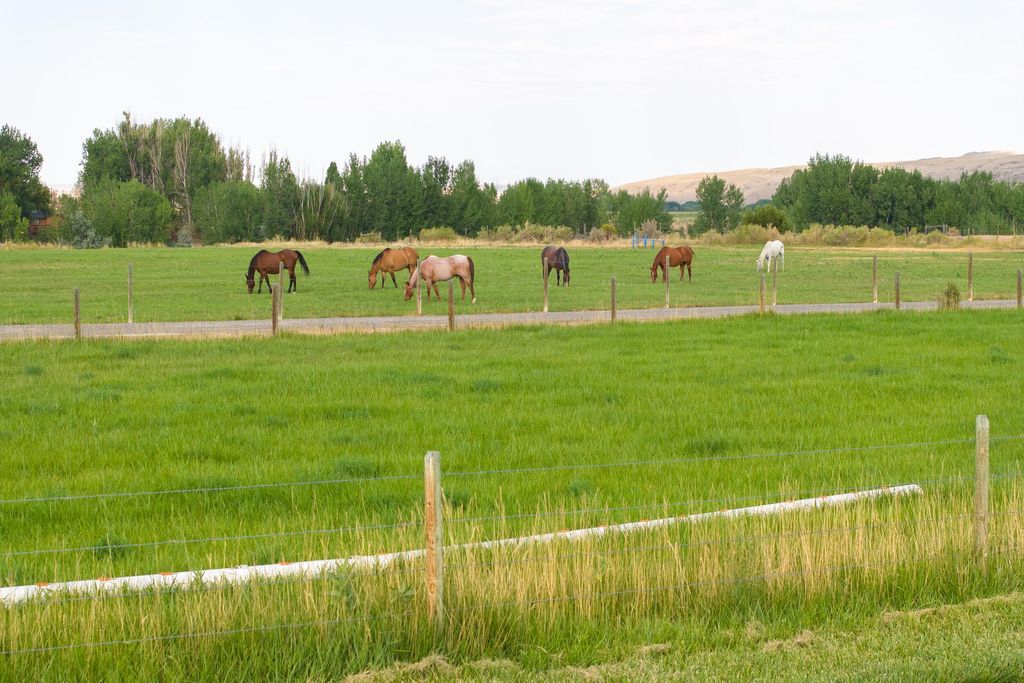 610 US HWY 14, Greybull, WY 82426 photo 61