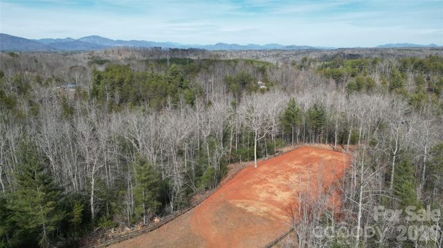 250 Burt Blackwell Road, Mill Spring, NC 28756