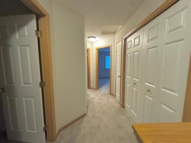 20583 Abbey Lane 148, Farmington, MN 55024