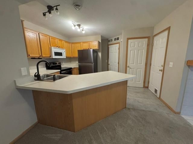 20583 Abbey Lane 148, Farmington, MN 55024