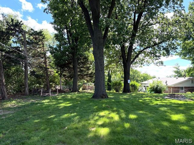 8 Wayne Street, St Charles, MO 63301
