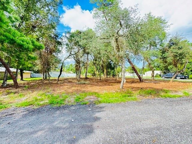 LUELLA AVENUE, Paisley, FL 32767