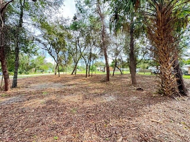 LUELLA AVENUE, Paisley, FL 32767