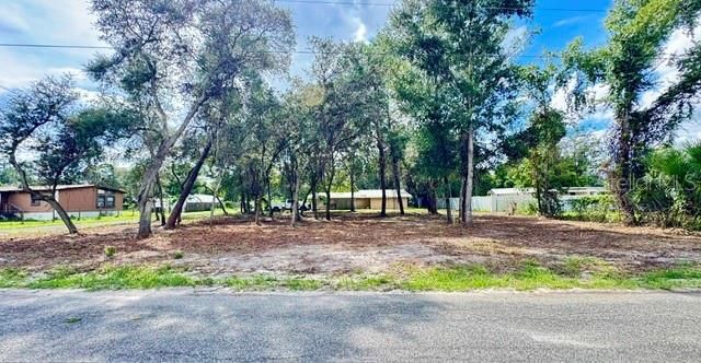 LUELLA AVENUE, Paisley, FL 32767