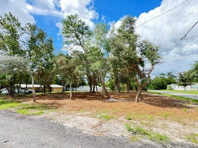 LUELLA AVENUE, Paisley, FL 32767