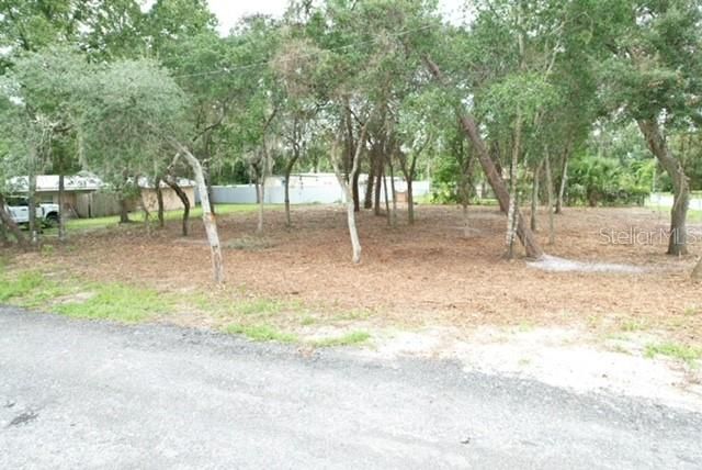 LUELLA AVENUE, Paisley, FL 32767