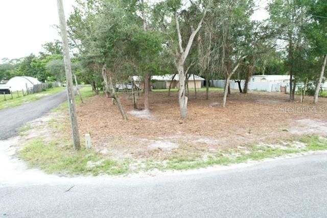 LUELLA AVENUE, Paisley, FL 32767