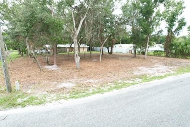 LUELLA AVENUE, Paisley, FL 32767