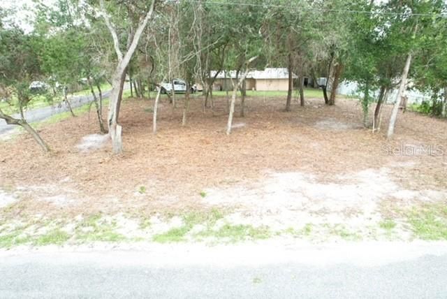 LUELLA AVENUE, Paisley, FL 32767