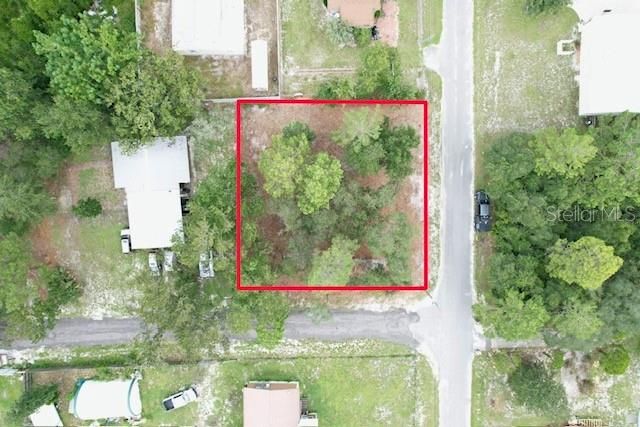LUELLA AVENUE, Paisley, FL 32767