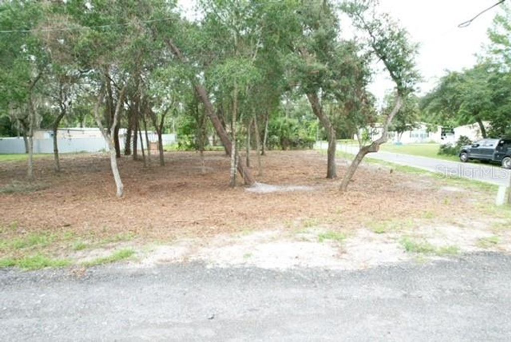 LUELLA AVENUE, Paisley, FL 32767