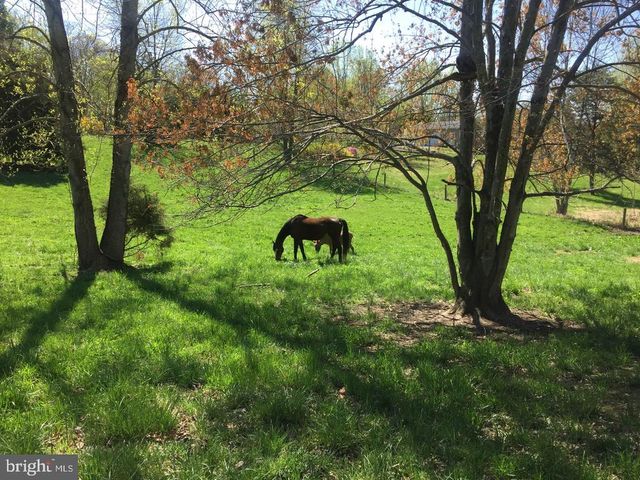 3085 INDIAN RUN RD, Amissville, VA 20106