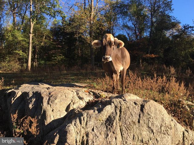 3085 INDIAN RUN RD, Amissville, VA 20106