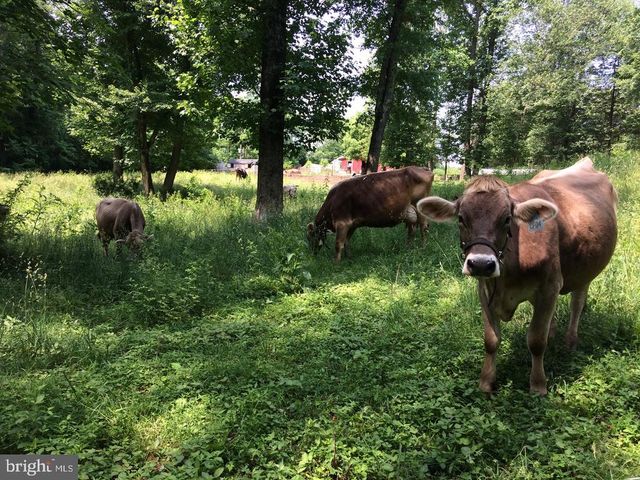 3085 INDIAN RUN RD, Amissville, VA 20106