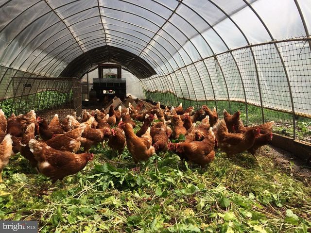 3085 INDIAN RUN RD, Amissville, VA 20106