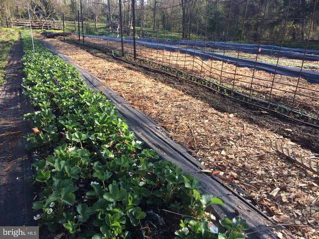 3085 INDIAN RUN RD, Amissville, VA 20106