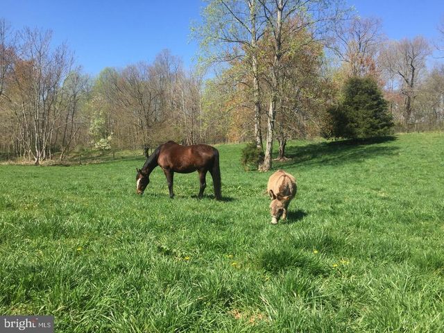 3085 INDIAN RUN RD, Amissville, VA 20106