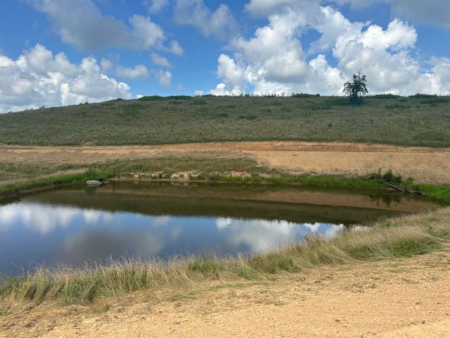 Tract 29 Pittsburg Landing Road, London, KY 40741