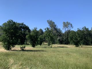 Wonderland Boulevard, Redding, CA 96003