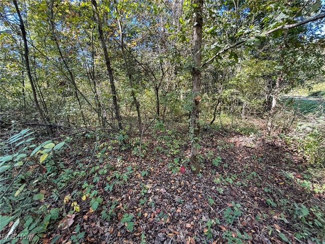 Country Rd, Jewett, OH 43986