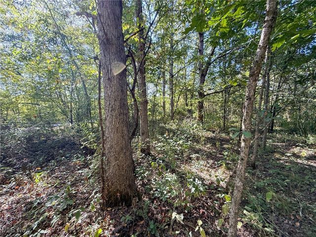 Country Rd, Jewett, OH 43986