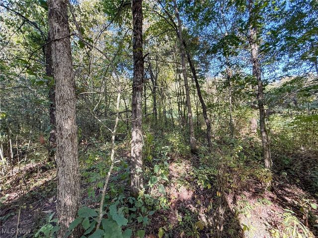 Country Rd, Jewett, OH 43986