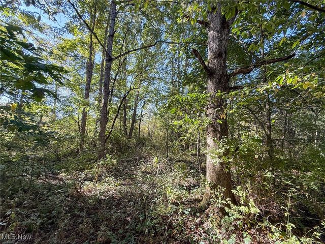 Country Rd, Jewett, OH 43986