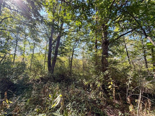 Country Rd, Jewett, OH 43986