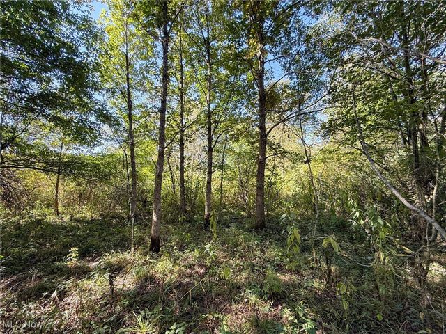 Country Rd, Jewett, OH 43986